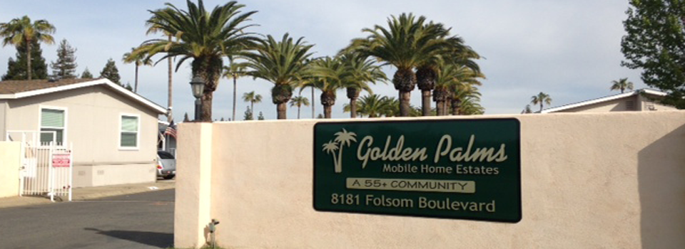 Internal-Page-Sliders-Golden-Palms-4